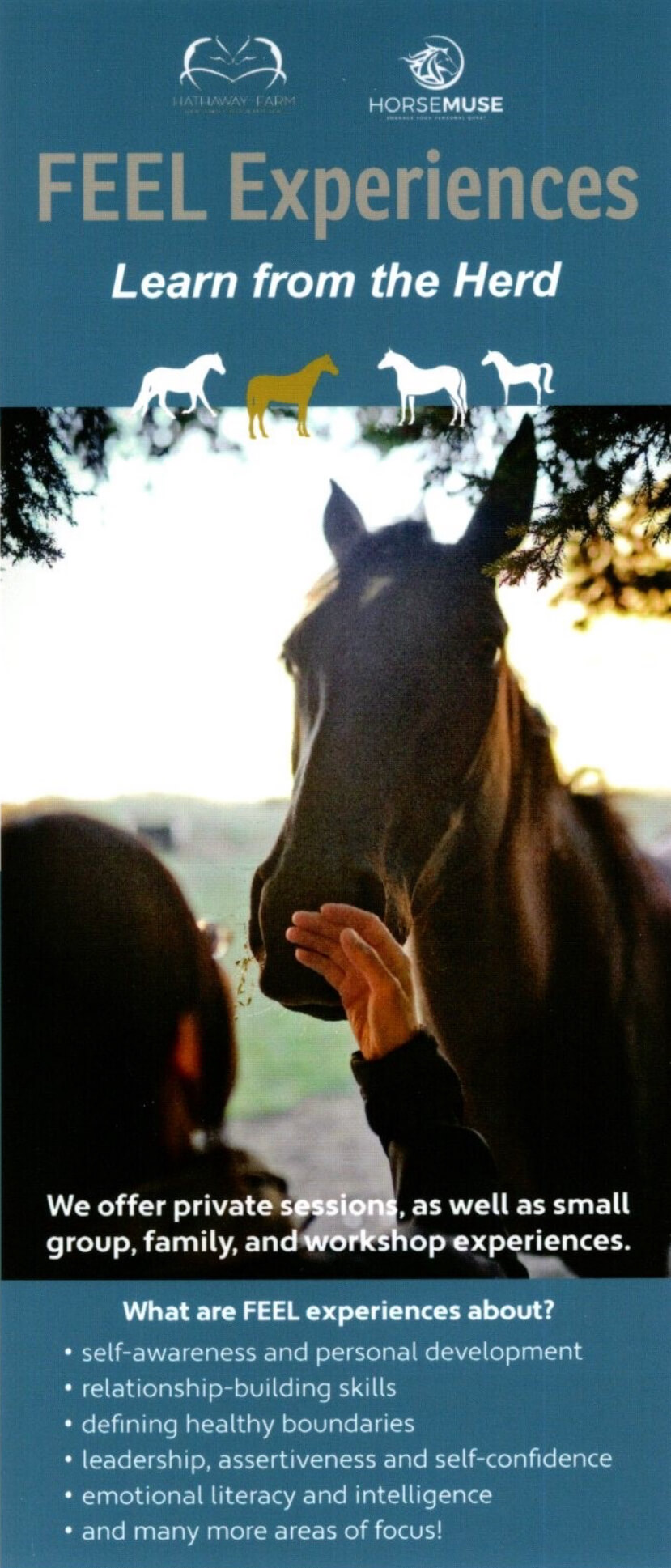 horse therapy